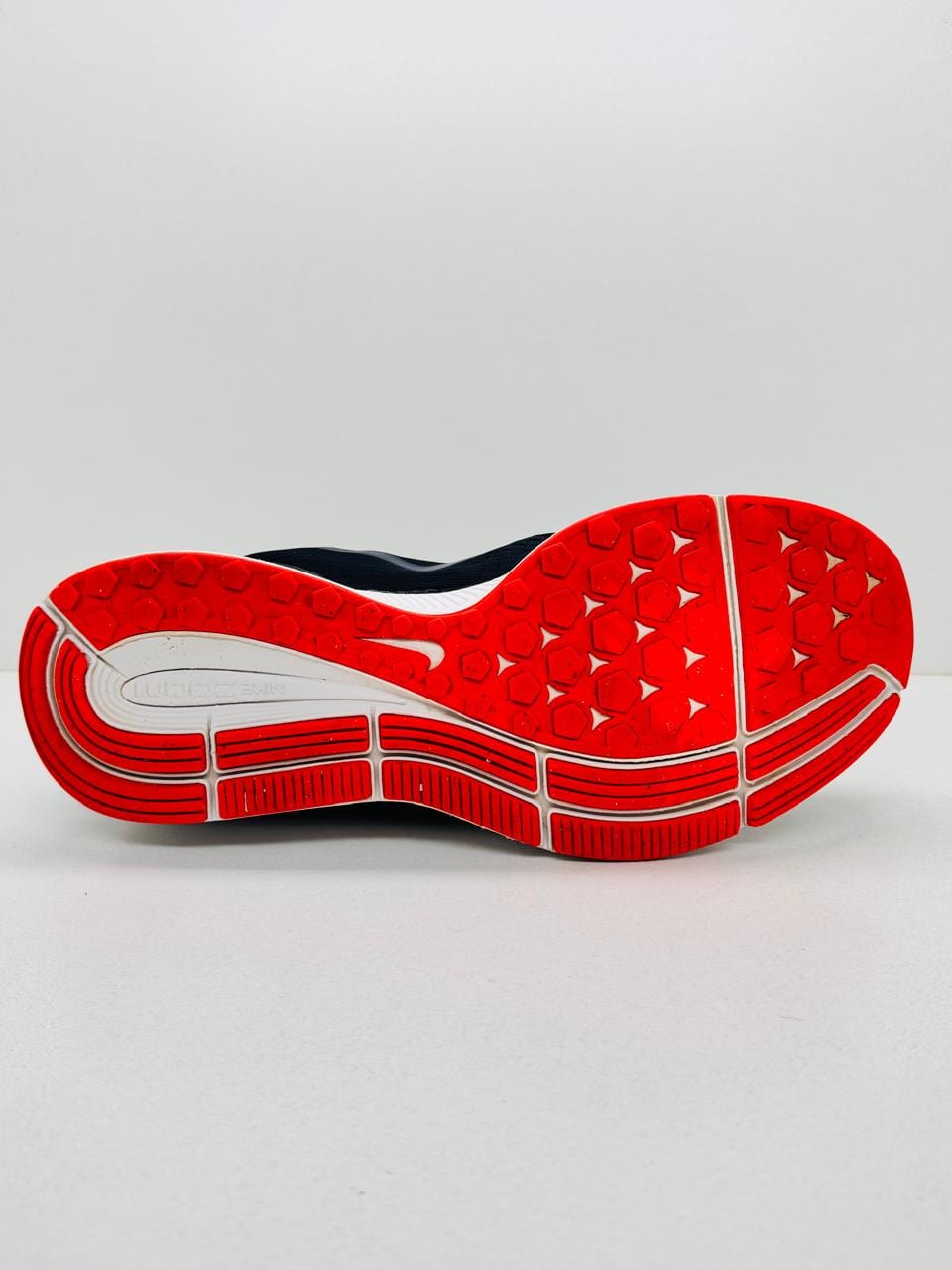 Nike Zoom Pegasus 34
